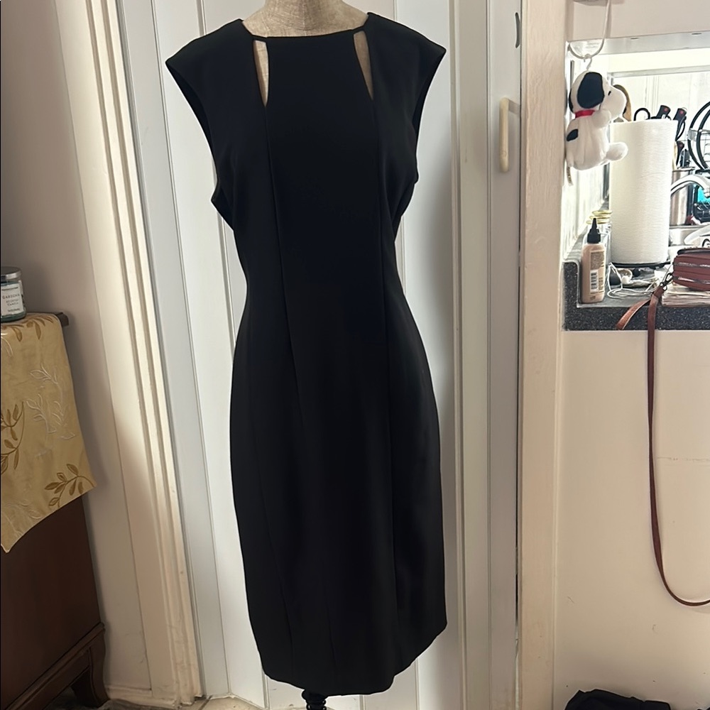 Elegant Black Sleeveless Dress